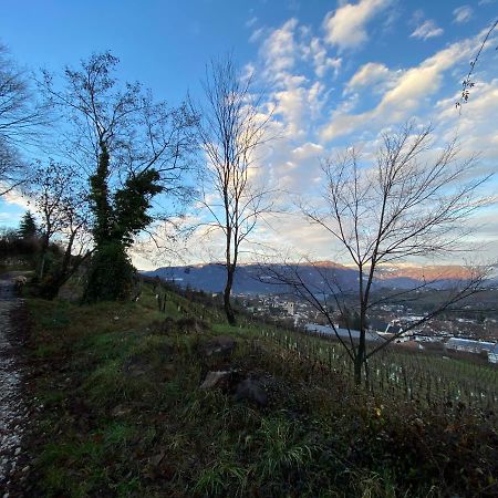 Casa Pigano Apartment Appiano Sulla Strada Del Vino Luaran gambar